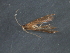  ( - RBCAD-2026)  @11 [ ] CreativeCommons - Attribution (2009) Unspecified Centre for Biodiversity Genomics