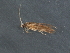  ( - RBCAD-2027)  @11 [ ] CreativeCommons - Attribution (2009) Unspecified Centre for Biodiversity Genomics
