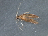  ( - RBCAD-2030)  @11 [ ] CreativeCommons - Attribution (2009) Unspecified Centre for Biodiversity Genomics