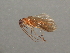  ( - RBCAD-2067)  @13 [ ] CreativeCommons - Attribution (2009) Unspecified Centre for Biodiversity Genomics