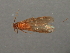  ( - RBCAD-2074)  @11 [ ] CreativeCommons - Attribution (2009) Unspecified Centre for Biodiversity Genomics