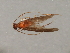  ( - RBCAD-2088)  @11 [ ] CreativeCommons - Attribution (2009) Unspecified Centre for Biodiversity Genomics