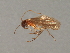  ( - RBCAD-2090)  @11 [ ] CreativeCommons - Attribution (2009) Unspecified Centre for Biodiversity Genomics