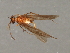  ( - RBCAD-2092)  @11 [ ] CreativeCommons - Attribution (2009) Unspecified Centre for Biodiversity Genomics