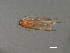  ( - RBCAD-2134)  @11 [ ] CreativeCommons - Attribution (2009) Unspecified Centre for Biodiversity Genomics