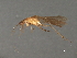  ( - RBCAD-2142)  @11 [ ] CreativeCommons - Attribution (2009) Unspecified Centre for Biodiversity Genomics
