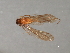  ( - RBCAD-2144)  @11 [ ] CreativeCommons - Attribution (2009) Unspecified Centre for Biodiversity Genomics