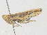  ( - 01JUN22-4Y-3)  @11 [ ] CreativeCommons - Attribution Share - Alike (2024) CBG Photography Group Centre for Biodiversity Genomics