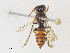  ( - 08JUN22-12Y-4)  @11 [ ] CreativeCommons - Attribution Share - Alike (2024) CBG Photography Group Centre for Biodiversity Genomics