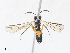  ( - 24JUN22-3Y-1)  @11 [ ] CreativeCommons - Attribution Share - Alike (2024) CBG Photography Group Centre for Biodiversity Genomics