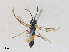  ( - 10JUL22-3Y-1)  @11 [ ] CreativeCommons - Attribution Share - Alike (2024) CBG Photography Group Centre for Biodiversity Genomics
