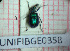  ( - BGE_00424_G01)  @11 [ ] CreativeCommons  Attribution Non-Commercial Share-Alike (2023) Claudia Bruschini UNIFI