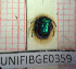  ( - BGE_00424_G02)  @11 [ ] CreativeCommons  Attribution Non-Commercial Share-Alike (2023) Claudia Bruschini UNIFI