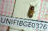  ( - BGE_00424_H07)  @11 [ ] CreativeCommons  Attribution Non-Commercial Share-Alike (2023) Claudia Bruschini UNIFI