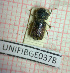  ( - BGE_00424_H09)  @11 [ ] CreativeCommons  Attribution Non-Commercial Share-Alike (2023) Claudia Bruschini UNIFI