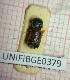  ( - BGE_00424_H10)  @11 [ ] CreativeCommons  Attribution Non-Commercial Share-Alike (2023) Claudia Bruschini UNIFI