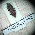  ( - BGE_00426_G05)  @11 [ ] CreativeCommons  Attribution Non-Commercial Share-Alike (2024) Claudia Bruschini UNIFI