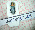  ( - BGE_00426_H07)  @11 [ ] CreativeCommons  Attribution Non-Commercial Share-Alike (2024) Claudia Bruschini UNIFI