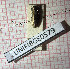  ( - BGE_00427_A09)  @11 [ ] CreativeCommons  Attribution Non-Commercial Share-Alike (2024) Adele Bordoni UNIFI
