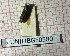  ( - BGE_00427_A10)  @11 [ ] CreativeCommons  Attribution Non-Commercial Share-Alike (2024) Adele Bordoni UNIFI