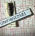  ( - BGE_00427_A11)  @11 [ ] CreativeCommons  Attribution Non-Commercial Share-Alike (2024) Adele Bordoni UNIFI