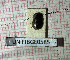  ( - BGE_00427_B03)  @11 [ ] CreativeCommons  Attribution Non-Commercial Share-Alike (2024) Adele Bordoni UNIFI
