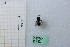 ( - BGE_00434_C12)  @11 [ ] CreativeCommons  Attribution Non-Commercial Share-Alike (2024) Adele Bordoni Università degli Studi di Firenze
