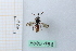  ( - BGE_00434_D09)  @11 [ ] CreativeCommons  Attribution Non-Commercial Share-Alike (2024) Adele Bordoni Università degli Studi di Firenze