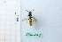  ( - BGE_00434_H05)  @11 [ ] CreativeCommons  Attribution Non-Commercial Share-Alike (2024) Adele Bordoni Università degli Studi di Firenze