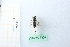  ( - BGE_00434_H10)  @11 [ ] CreativeCommons  Attribution Non-Commercial Share-Alike (2024) Adele Bordoni Università degli Studi di Firenze