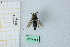  ( - BGE_00930_C08)  @11 [ ] CreativeCommons  Attribution Non-Commercial Share-Alike (2025) Marco Bonifacino Università degli Studi di Firenze