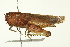  ( - 10BBORT-0139)  @13 [ ] CreativeCommons - Attribution (2010) CBG Photography Group Centre for Biodiversity Genomics