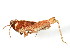 ( - BIOUG00916-B05)  @14 [ ] CreativeCommons - Attribution (2011) CBG Photography Group Centre for Biodiversity Genomics