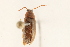  ( - 09BBCOL-1061)  @14 [ ] CreativeCommons - Attribution (2009) Unspecified Centre for Biodiversity Genomics
