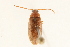  ( - 09BBCOL-1062)  @14 [ ] CreativeCommons - Attribution (2009) Unspecified Centre for Biodiversity Genomics