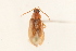  ( - 09BBCOL-1064)  @13 [ ] CreativeCommons - Attribution (2009) Unspecified Centre for Biodiversity Genomics