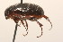  ( - 09BBCOL-1145)  @12 [ ] CreativeCommons - Attribution (2009) Unspecified Centre for Biodiversity Genomics