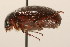  ( - 09BBCOL-1151)  @11 [ ] CreativeCommons - Attribution (2009) Unspecified Centre for Biodiversity Genomics