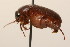  ( - 09BBCOL-1154)  @13 [ ] CreativeCommons - Attribution (2009) Unspecified Centre for Biodiversity Genomics