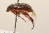  ( - 09BBCOL-1157)  @12 [ ] CreativeCommons - Attribution (2009) Unspecified Centre for Biodiversity Genomics