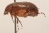  ( - 09BBCOL-1164)  @12 [ ] CreativeCommons - Attribution (2009) Unspecified Centre for Biodiversity Genomics