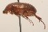  ( - 09BBCOL-1166)  @13 [ ] CreativeCommons - Attribution (2009) Unspecified Centre for Biodiversity Genomics