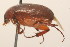  ( - 09BBCOL-1167)  @12 [ ] CreativeCommons - Attribution (2009) Unspecified Centre for Biodiversity Genomics