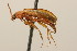  ( - 09BBCOL-1060)  @14 [ ] CreativeCommons - Attribution (2009) Unspecified Centre for Biodiversity Genomics