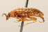  ( - 09BBCOL-1062)  @14 [ ] CreativeCommons - Attribution (2009) Unspecified Centre for Biodiversity Genomics