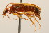  ( - 09BBCOL-1063)  @13 [ ] CreativeCommons - Attribution (2009) Unspecified Centre for Biodiversity Genomics