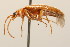  ( - 09BBCOL-1065)  @12 [ ] CreativeCommons - Attribution (2009) Unspecified Centre for Biodiversity Genomics