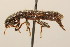  ( - 09BBCOL-1097)  @13 [ ] CreativeCommons - Attribution (2009) Unspecified Centre for Biodiversity Genomics