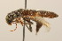  ( - 09BBCOL-1098)  @13 [ ] CreativeCommons - Attribution (2009) Unspecified Centre for Biodiversity Genomics