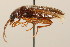  ( - 09BBCOL-1101)  @13 [ ] CreativeCommons - Attribution (2009) Unspecified Centre for Biodiversity Genomics